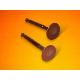 Kipufogoszelep-Szivoszelep-AL-KO-BMP-14000