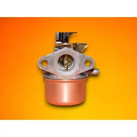 Karburator-Briggs-498965