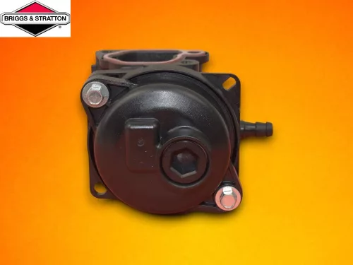 Karburator-Briggs-597565