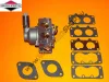 Karburátor Briggs 16 HP Intek
