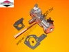 Karburátor Briggs 498298 , 490533 , 492611