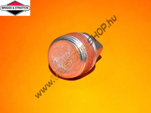Olajleereszto-csavar-Briggs-690946