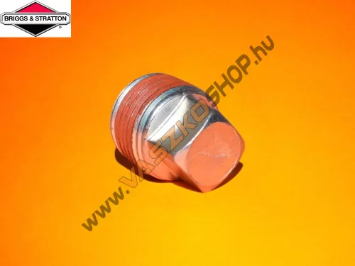 Olajleereszto-csavar-Briggs-690946Olajleereszto-csavar-Briggs-690946