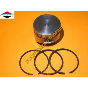 Dugattyú Briggs Qvantum (∅67 mm)