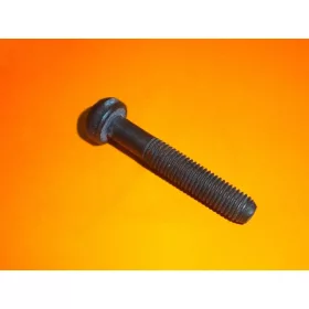 Hajtókar csavar Briggs 791118