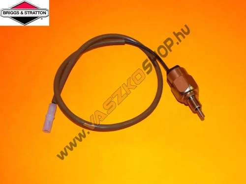 Karburátor tűszelep Briggs 806472