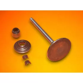 Szívószelep Briggs 791935