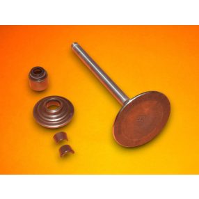 Szívószelep Briggs 791935