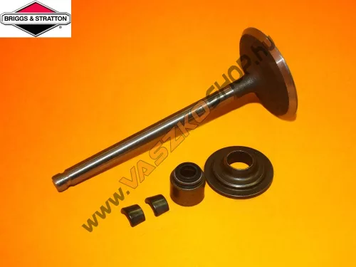 Szívószelep Briggs 791935