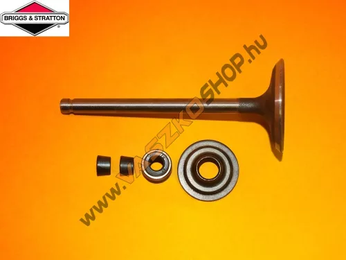 Szívószelep Briggs 791935