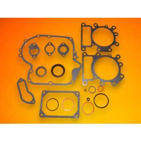 Tömítéskészlet Briggs Intek 796187