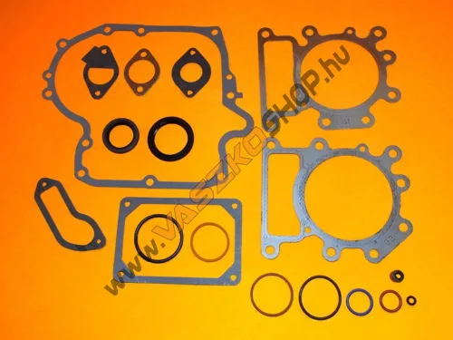 Tömítéskészlet Briggs Intek 796187