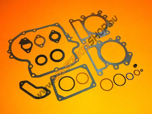 Tömítéskészlet Briggs Intek 796187