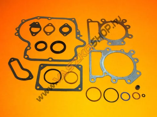 Tömítéskészlet Briggs Intek 796187