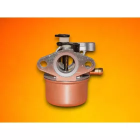 Karburátor Briggs 799871