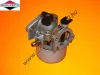 Karburátor Briggs 799871