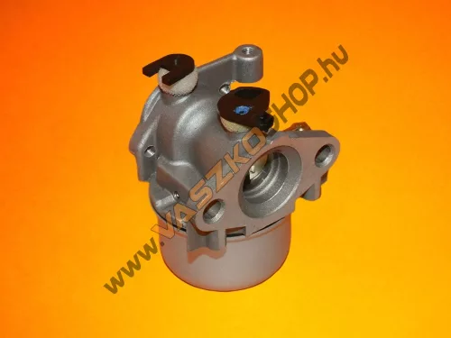 Karburátor Briggs 799871