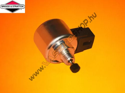 Karburátor tűszelep elektromos Briggs 596038
