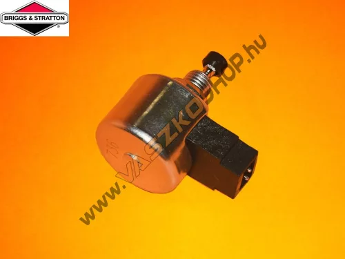 Karburátor tűszelep elektromos Briggs 596038
