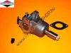 Briggs karburátor 799727