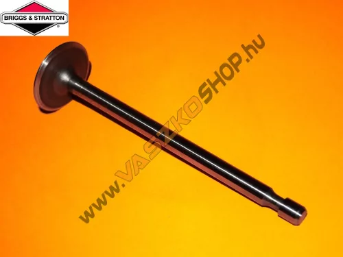 Szívószelep Briggs 262247S