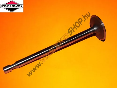 Szívószelep Briggs 262247S