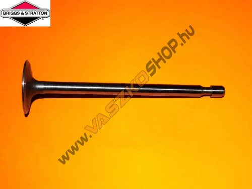 Szívószelep Briggs 262247S