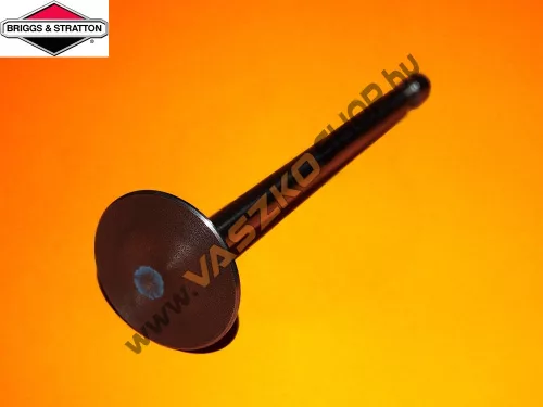 Szívószelep Briggs 262247S