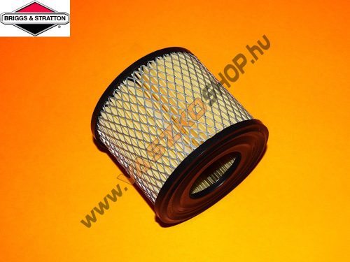 Levegőszűrő Briggs 8 HP (393957)