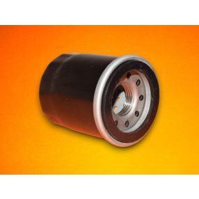 Olajszűrő Briggs kicsi (795990)