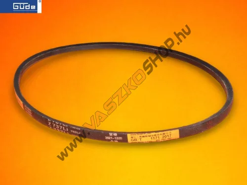 Ekszij-Gude-Big-Wheeler-460-Trike