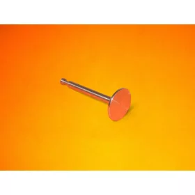 Kipufogószelep Honda GCV-160