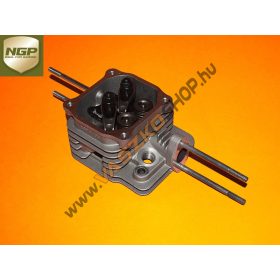 Hengerfej vezérléssel NGP T100