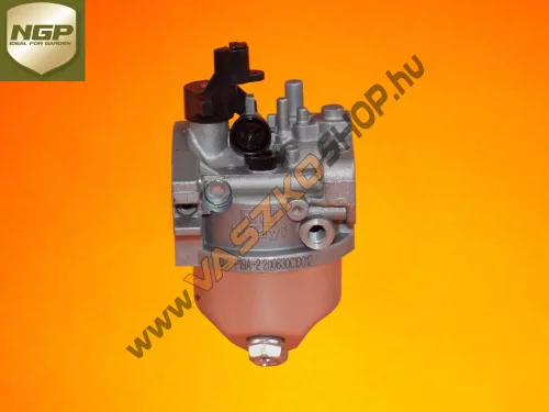Karburátor NGP T675