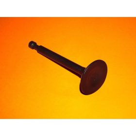 Szivoszelep-NGP-T475