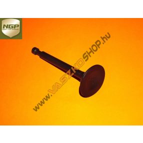 Szivoszelep-NGP-T475