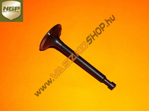 Szivoszelep-NGP-T475