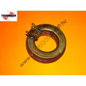 Karburátor úszó Tecumseh