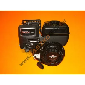 Briggs & Stratton S550 motor 19x60