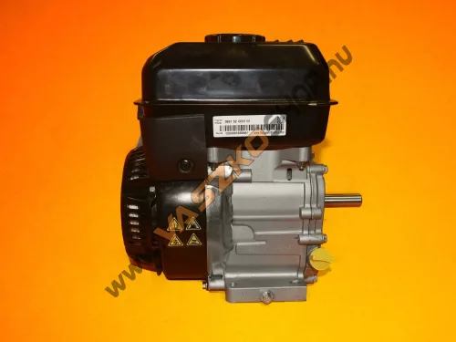 Briggs & Stratton S550 motor 19x60