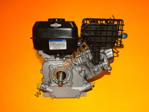 Briggs & Stratton S550 motor 19x60