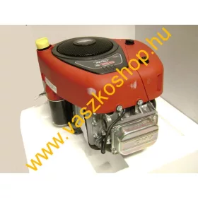 Briggs & Stratton TA/L8 A motor 25,4x80