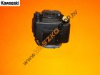 Kawasaki FJ 180V motor--22-2-80