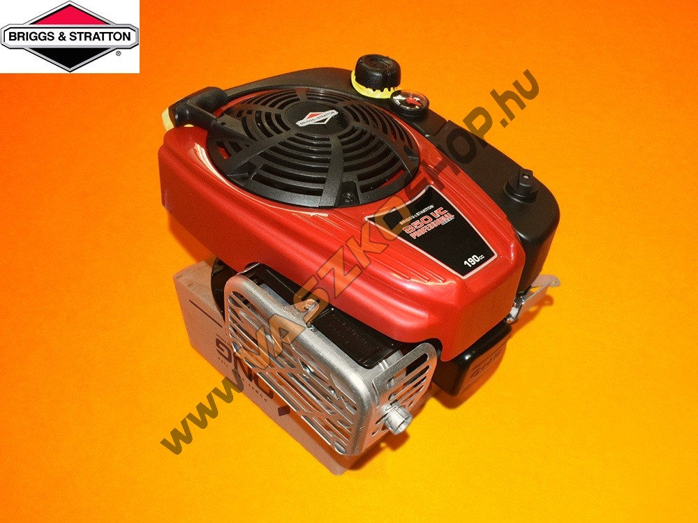 Briggs & Stratton 850 I/C Professional