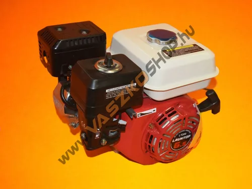 Launtop LT 200 motor 19x58