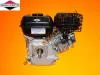 Briggs & Stratton S750 motor 19x62