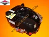 Briggs & Stratton 750EX motor 22,2x52