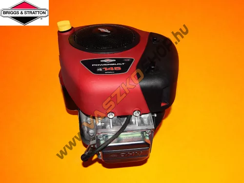 Briggs & Stratton Powerbuilt 4145 benzines motor 25,4x80
