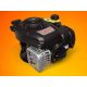 Briggs & Stratton 300e OHV Serial motor 22,2x50