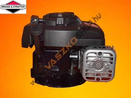 Briggs & Stratton 300e OHV Serial motor 22,2x50